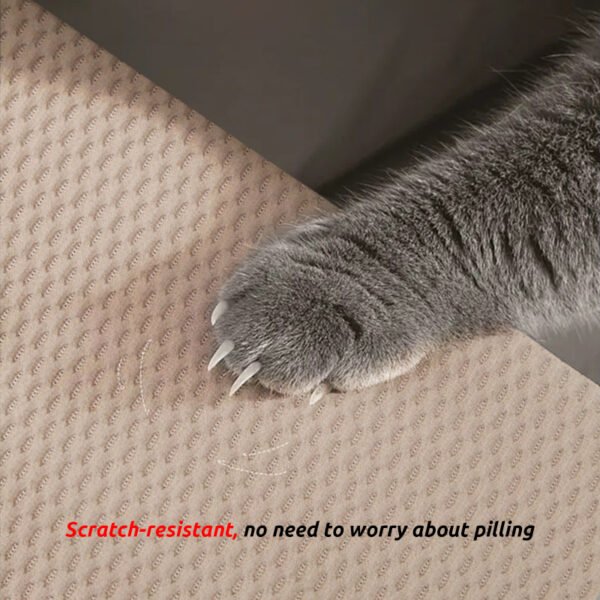 pet friendly sofa fabric